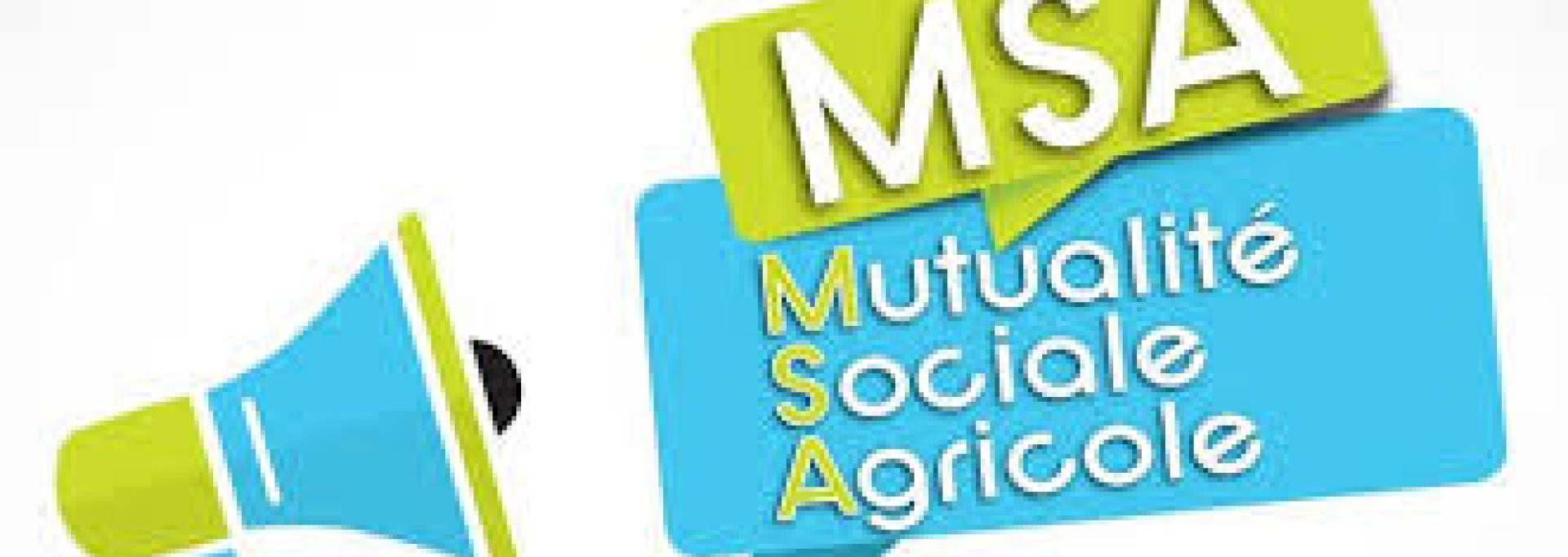 msa