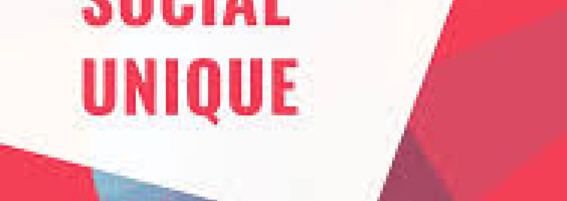 Rapport Social Unique 2024