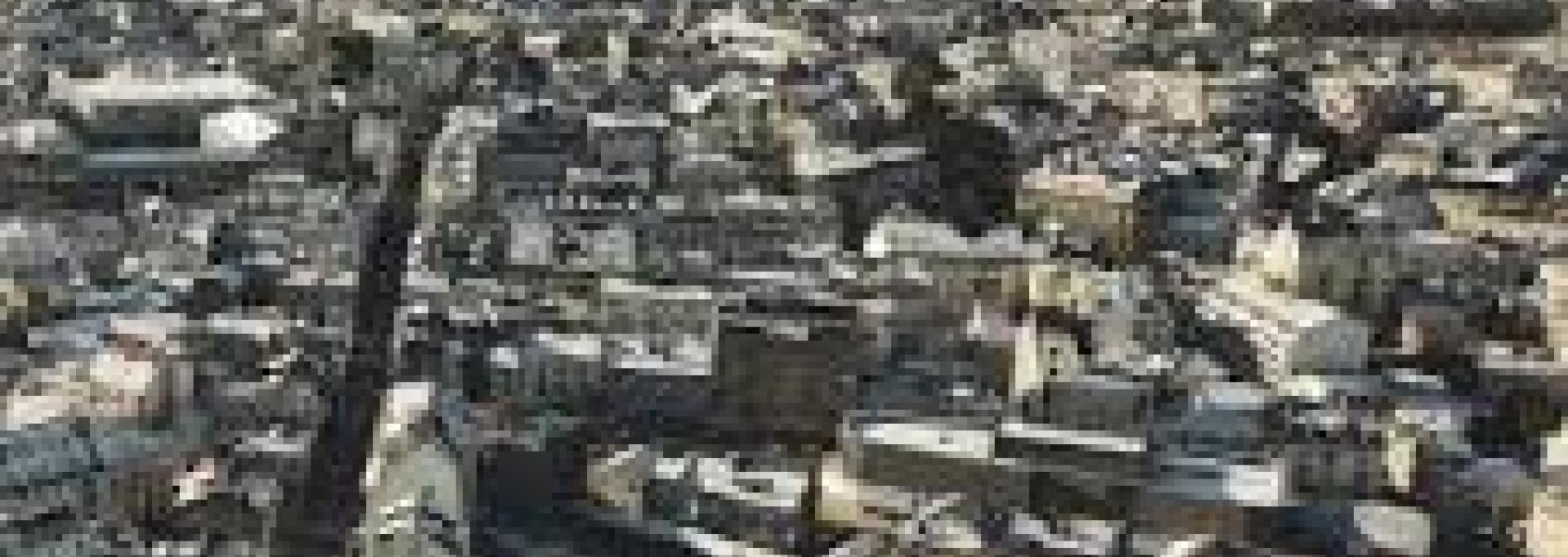 PLAN LOCAL HABITAT.jpg