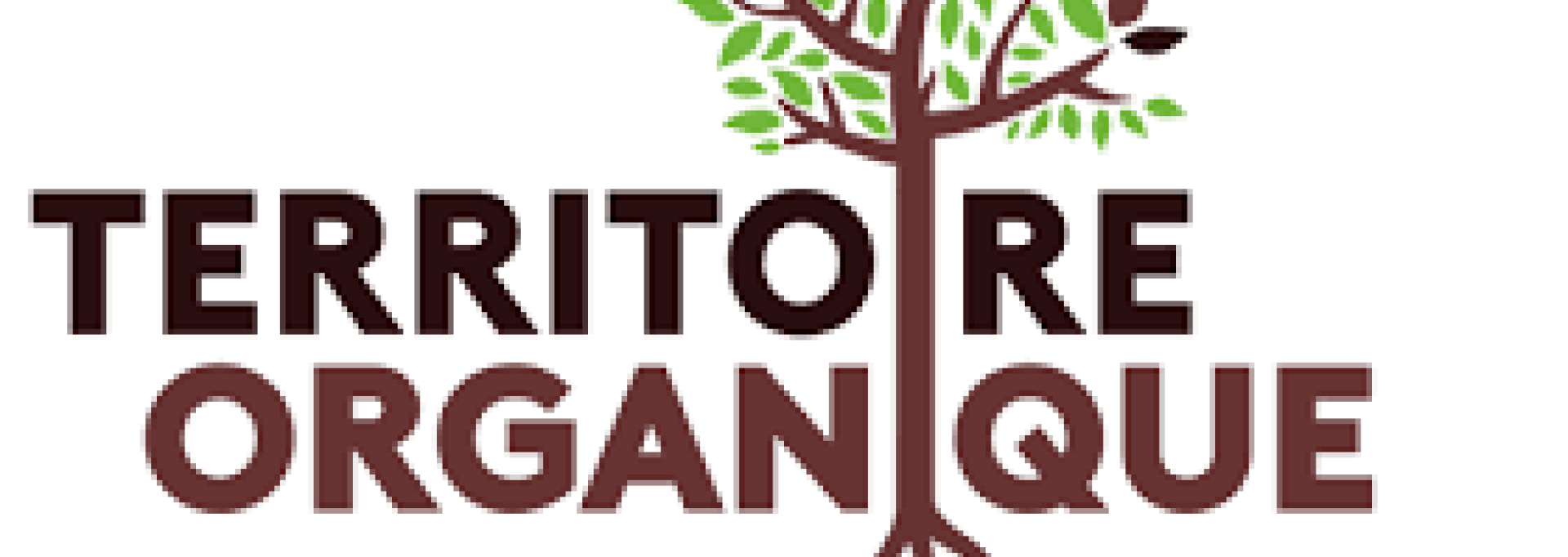 territoire organique.png