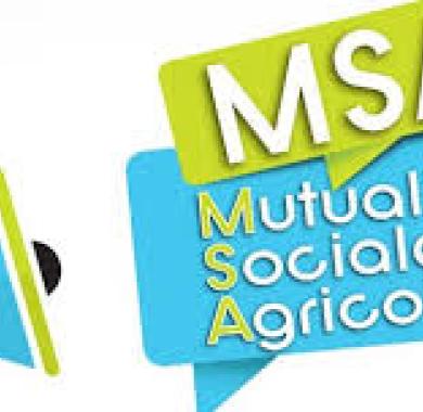 msa