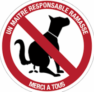 déjections canines