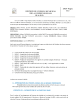 PV CM 6VI2024.PDF