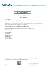 Enedis.PDF