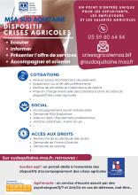 Flyer msa.pdf
