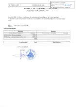 Décision n°20-VC n°4-tampon.pdf