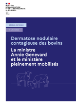 250716_DP_Dermatose nodulaire contagieuse des bovins.pdf