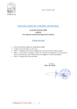 Affichage CM 19.02.26.PDF