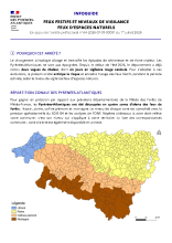 infoguide_AP_réglementation_temporaire_feux_d'artifice[1].pdf