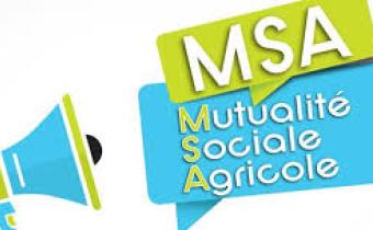 msa