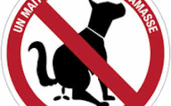 déjections canines