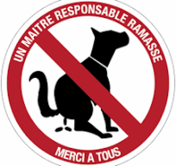 déjections canines